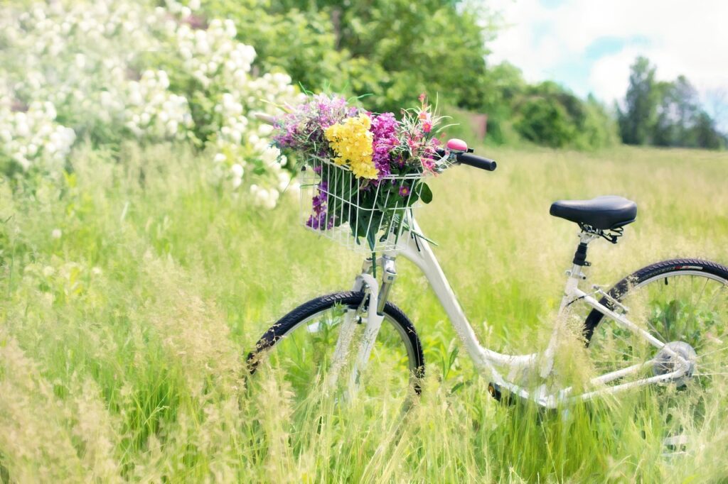 草原と自転車